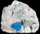 Vibrant Blue Cavansite Cluster on Stilbite - India #45873-1